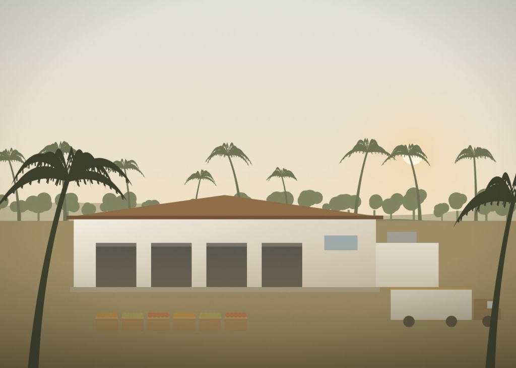 A produce packhouse with cold room, crates and a refrigerated truck among palm trees